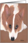 Pembroke Welsh Corgi Any Occasion, Blank Note Card