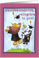 Graduation For Granddaughter-Lion and Lamb-Hats Off card