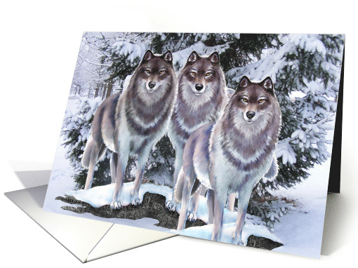 Wolves In Winter, Blank card (666125)