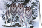 Wolves In Winter, Blank Card