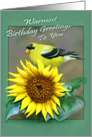 Goldfinch/Sunflower Birthday Greeting card