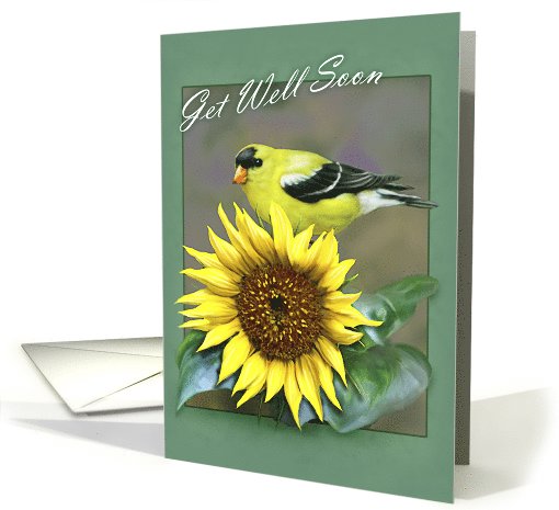 Goldfinch/Sunflower Get Well Soon card (666390)
