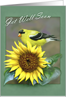 Goldfinch/Sunflower Get Well Soon card