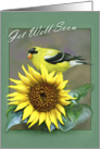 Goldfinch/Sunflower Get Well Soon card