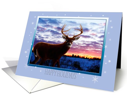 Whitetail Sunrise Happy Holidays card (666665)