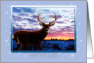 Whitetail Sunrise Happy Holidays card