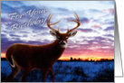 Whitetail Sunrise Birthday card