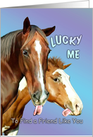 Lucky Me Horses-humor card