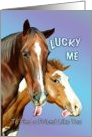 Lucky Me Horses-humor card
