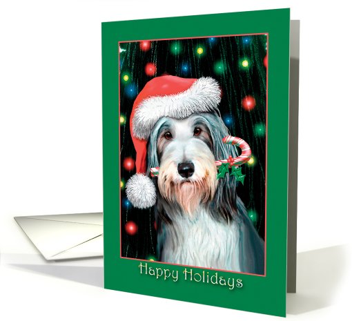 Bearded Collie - Happy Holidays - blank card (682074)