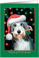 Bearded Collie - Happy Holidays - blank card