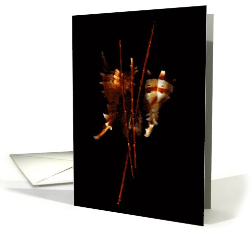 Floating Shells Notecard card (666469)