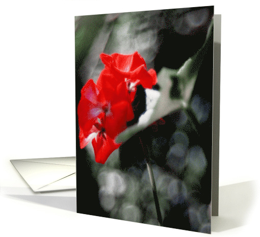 For Your Eyes Only Blank Note card (666493)