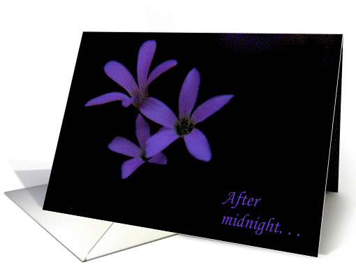 After Midnight card (667929)