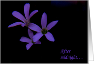 After Midnight Card