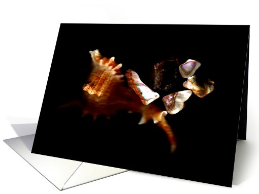 Sea Treasures, Blank card (668135)