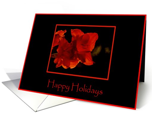 Amaryllis Happy Holidays card (705665)