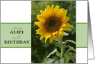 Birthday wishes, for Aunt, superb Sunflower card