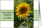 Birthday wishes, for Cousin, superb Sunflower card