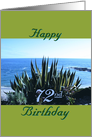 Birthday, 72nd, Century plant, poem, Ocean beach card