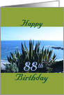 Birthday, 88th, Century plant, poem, Ocean beach card