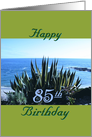 Birthday, 85th, Century plant, poem, Ocean beach card