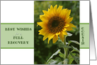 Recovery encouragement, addiction, for Cousin, Sunflower card