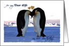 Birthday for Wife - Penguin Pair with Hearts, Antarctica card