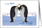 Birthday, for Life Partner/Lover (her), pair Penguins, hearts card