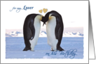 Birthday, for Life Partner/Lover (him), pair Penguins, hearts card