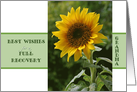 Best Wishes for a Full Recovery, for Grandma, superb sunflower card