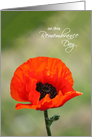 Remembrance Day Card - Red Poppy card