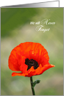 We will Never Forget - Remembrance Day Card - Red Poppy card