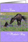 Hearts & Horses Mother’s Day for Sister - Mustangs in Meadow card