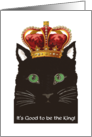 National Cat Day, October 29th, Cat wears Crown, Good to be the King card