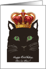 Birthday for Son-in-Law, Cat wears Fancy Crown, Good to be King, Funny card