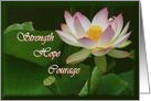 Hope for Someone with Cancer beautiful Water Lily card