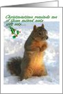 Christmas, squirrel in snow card