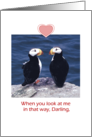 Valentine’s Day two Puffins on Rock - Humorous card