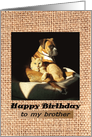 Happy Birthday, for Brother, Boxer and Tabby cat card