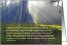 Happy Easter Religious Verse Sequoia Nat’l. Forest Refracted Sunlight card