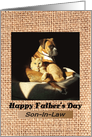 Father’s Day for Son-in-Law - Boxer cuddling with Cat card