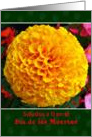 Dia de los Muertos ’Greetings’ in Spanish, Marigold flower card