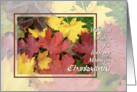 Thanksgiving for Both Moms - Fallen Maple Leaves card