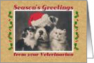 Season’s Greetings, from Vet, dog and cats card