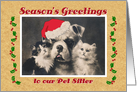 Season’s Greetings for Pet Sitter, Bulldog and Cats Vintage Postcard card