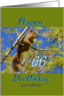 Birthday, for Grandfather, Squirrel in tree card