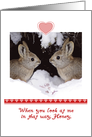 Valentine’s Day, Humorous, Two Rabbits card