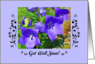 Get well, Star-shaped flowers card