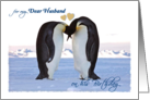 Birthday, for Husband, two penguins card